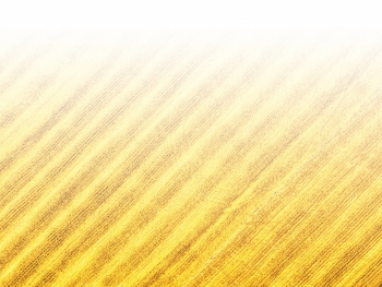 智能農(nóng)機、“訂單”服務(wù)、“云端”種菜——來自江西的春耕“新事”